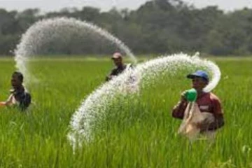 ගොවීන්ට නොමිලේ යූරියා මිටියක්.. මුලින්ම ලැබෙන ප්‍රදේශ මෙන්න.