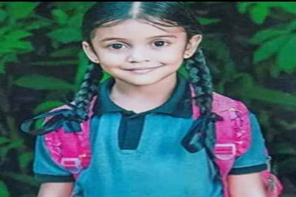 வாகன விபத்தில் பலியான ஐந்து வயது சிறுமி; தாயின் கரு கலைப்பு | Five Year Old Girl Killed In Car Accident