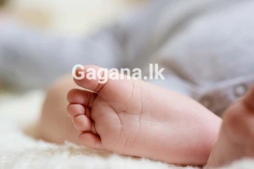 තම සිවි හැවිරිදි දරුවා ඝාතනය කළ ලොව ජනප්‍රිය කාන්තාව - (VIDEO)