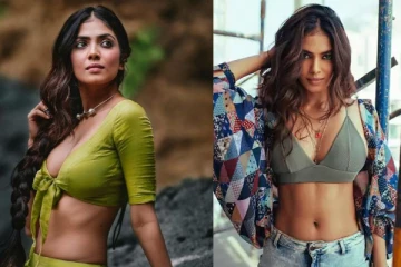 டபுள் மீனிங்கில் கமன்ட் செய்த ரசிகர்.. அதற்கு மாளவிகா மோகனன் கொடுத்த பதிலடி