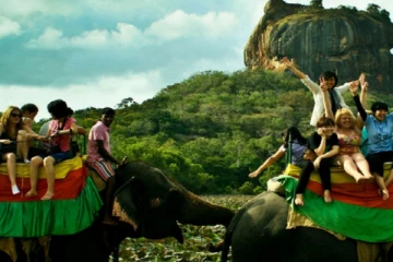 கடும் வீழ்ச்சியை சந்தித்துள்ள  இலங்கை சுற்றுலாத்துறை!