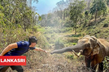 காட்டுக்குள் சென்ற கால்நடை மருத்துவர்... பிளிறிய யானை: பின்னர் தெரியவந்த ஆச்சரிய உண்மை