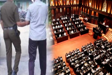 நாடாளுமன்றத்தில் திருடிய நபர் கைது