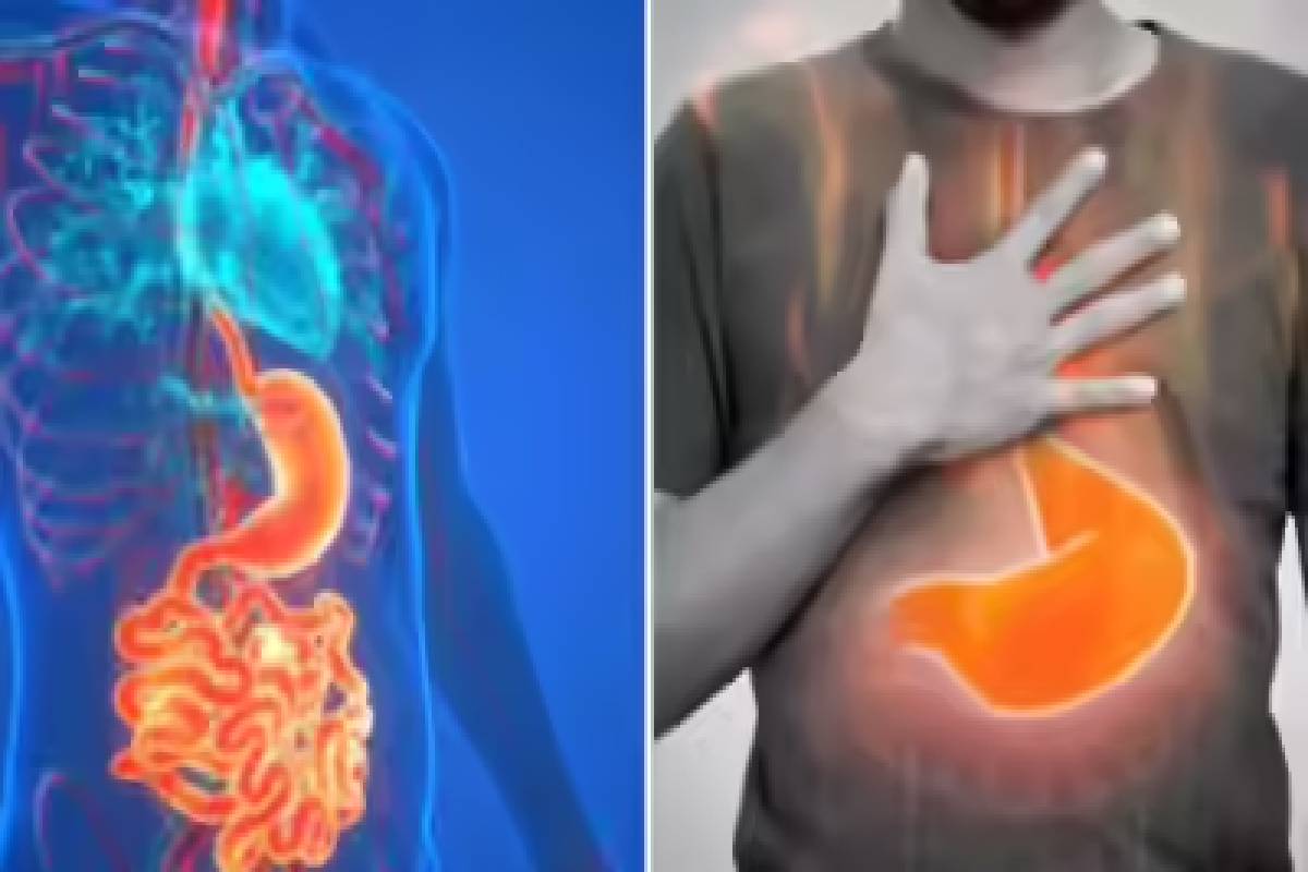 வயிற்றின் எந்த பகுதிகளில் வலி ஏற்படுவது ஆபத்து? இனியும் அலட்சியம் வேண்டாம்! | Stomach Pain Reasons In Tamil