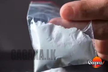 අයිස් ව්‍යාප්තියට මූලික වේදිකාව බස්නාහිර පළාත