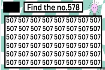 Optical illusion: படத்தில் '507' களுக்கு மத்தியில் '578' எங்கே உள்ளது?
