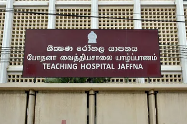 யாழில் அதிகரித்த டெங்கு காய்ச்சல்: பொதுமக்களுக்கு விடுக்கப்பட்டுள்ள எச்சரிக்கை | Dengue Prevalence In Jaffna