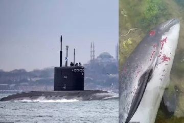 ரஷ்ய படையெடுப்பால் ஒரு இனமே அழியும் ஆபத்து... இதுவரை 5,000: நிபுணர்கள் எச்சரிக்கை