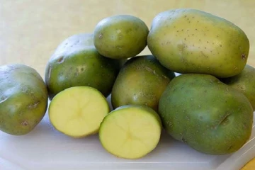 பச்சைக் கிழங்குகள் தொடர்பில் விடுக்கப்பட்ட எச்சரிக்கை!