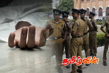 காலி - ஹிக்கடுவ வீதியில் பேருந்தில் மோதி வயோதிபப் பெண் பலி