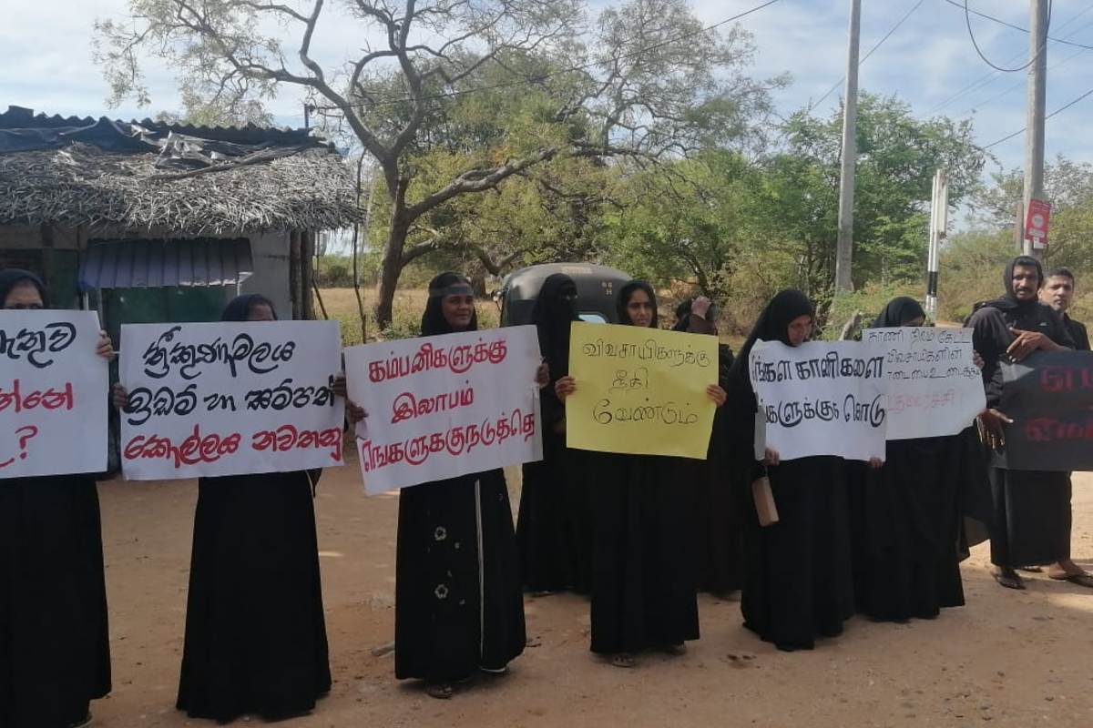 பெரும்பான்மை இன மக்களுக்கு கிழக்கில் விவசாய காணி என்றால்; அப்போது முத்துநகர் விவசாயிகளுக்கு... | Muthunagar Farmers Protest Trinco