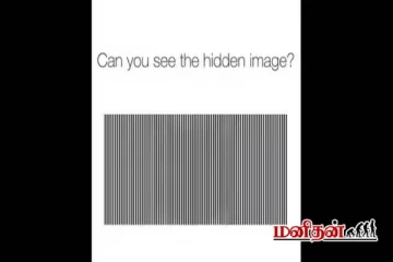 இந்த ஒளியியல் மாயையில் கறுப்பு சதுரத்தினுள் என்ன மிருகம் இருக்கிறது?