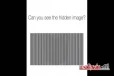 இந்த ஒளியியல் மாயையில் கறுப்பு சதுரத்தினுள் என்ன மிருகம் இருக்கிறது?