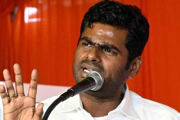 அண்ணாமலை விலகியது ஏன்? பரபரப்பான அரசியல் களம் | Reason Of Annamalai Resign Election Responsibility