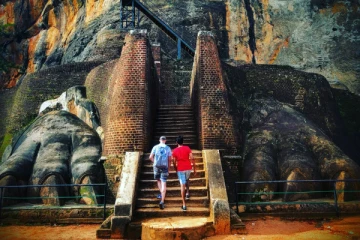 சிகிரியாவை மூடிய குளவிகள்!