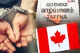 யாழில் கனடாவிற்கு அனுப்புவதாக கோடிக்கணக்கில் மோசடி - அரசியல்வாதி கைது