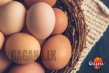 බිත්තර මිල දැනගන්න අලුත් ක්‍රමයක්