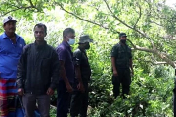 එනසල් කඩන්න කැලයට ගිය පස් දරු මවට සිදු වූ දේ