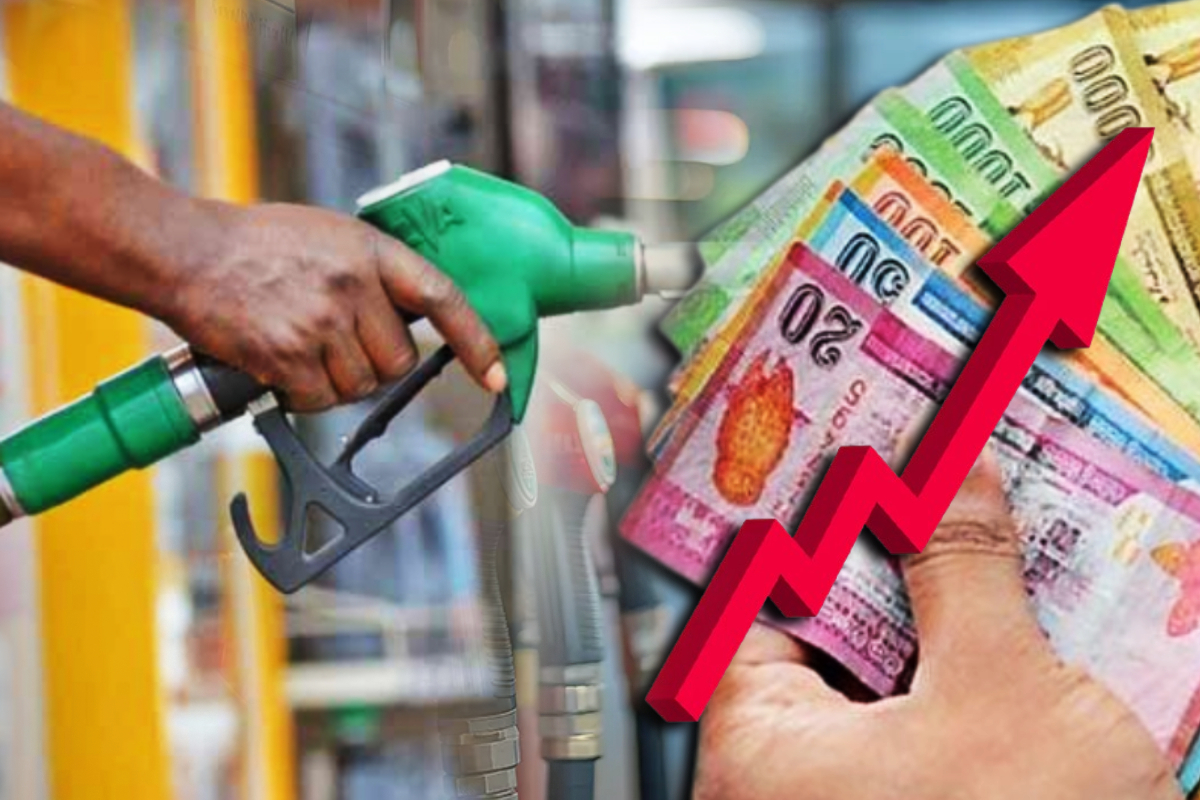 எரிபொருள் விலை அதிகரிப்பு : கடற்றொழிலாளர்களுக்கு அரசின் விசேட சலுகைகள் | Fuel Price Increase Special Offers To Sl Fishermen