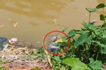 නෝර්වුඩ් පාලමට පහළින් හදුනානොගත් මළ සිරුරක්