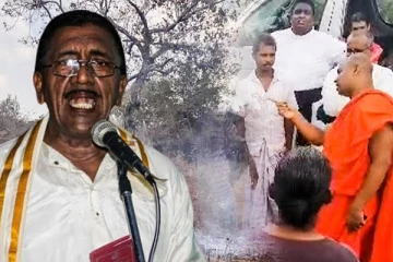 மேய்ச்சல் தரைகளை ஆக்கிரமித்து கஞ்சா விளைவிக்கும் சிங்களவர்கள்