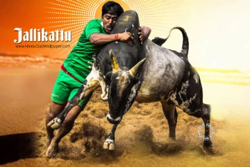 கோவையில் வருகிற 21-ம் தேதி ஜல்லிக்கட்டு போட்டி, பார்வையாளர்களுக்கு அனுமதி இல்லை - மாவட்ட ஆட்சியர் அறிவிப்பு