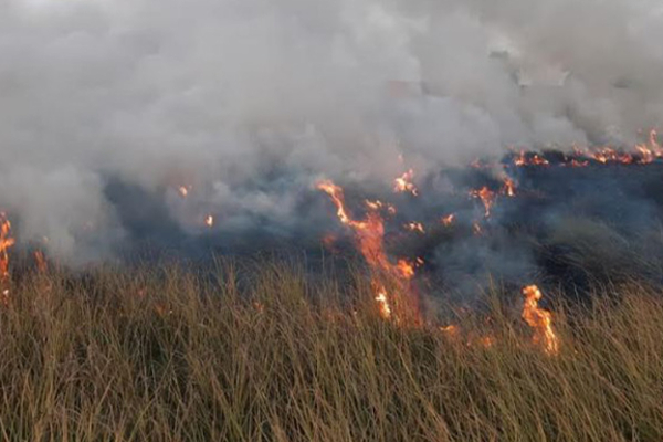 யாழில் மரணச்சடங்கில் இளைஞர்கள் செய்த செயல்! | The Action Youth In The Death Ceremony Fire