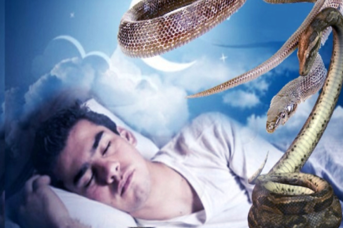 கனவில் சிவலிங்கத்துடன் பாம்பு வந்தால் என்ன பலன்? | Meaning Of A Dream With A Snake And A Shiva Lingam