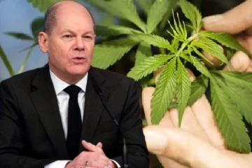 ஜேர்மனியில் சட்டப்பூர்வமான கஞ்சா விற்பனை: நன்மைகள், தீமைகள் என்ன?