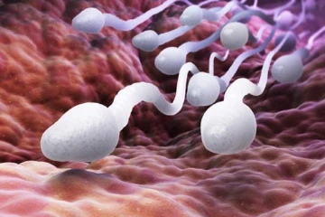 ஆண்களின் விந்தணு உற்பத்தி 50 சதவீதமாக குறைந்தது - வெளியான அதிர்ச்சி தகவல்