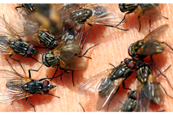 பொண்ணு தரமாட்டோம்..இளைஞர்களின் வாழ்க்கையில் விளையாடிய 