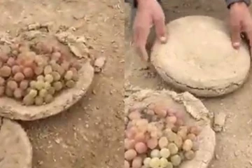 திராட்சையை வருடக்கணக்கில் கெடாமல் வைத்திருக்கும் அதிசயம்....துளியும் ரசாயனம் இல்லை!