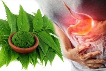 தினமும் 2 வேப்பிலை மென்று சாப்பிடுங்க! இந்த நோய்கள் எல்லாம் பறந்து ஓடிவிடுமாம்