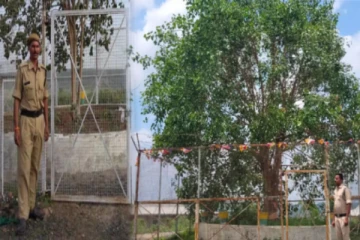 ரூ.12 லட்சம் செலவில் 24 மணி நேர பாதுகாப்புடன் மாநில அரசால் பராமரிக்கப்படும் விவிஐபி மரம் - அப்படி என்ன சிறப்பு?