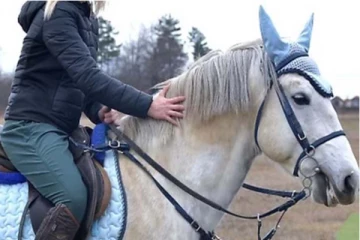 தேனிலவில் குதிரை சவாரி சென்ற புதுமண ஜோடி! பரிதாபமாக உயிரிழந்த மாப்பிள்ளை