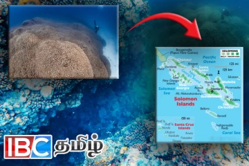 உலகின் மிகப்பெரிய பவளப்பாறை கண்டுபிடிப்பு!