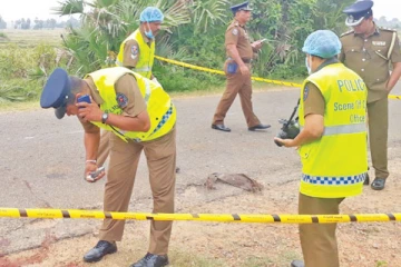 ஏ9 வீதியில் கோர விபத்து - சிறுமிக்கு எமனான நாய்