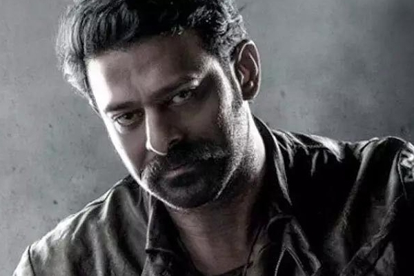 பிரபாஸுடன் மோதும் நயன்தாரா.. வெற்றிபெறப்போவது யார் | Nayanthara Movie To Clash With Prabhas Movie பிரபாஸுடன் மோதும் நயன்தாரா.. வெற்றிபெறப்போவது யார் | Nayanthara Movie To Clash With Prabhas Movie