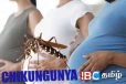 கர்ப்பிணித் தாய்மார்களுக்கு வெளியான அறிவிப்பு