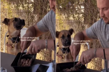 அப்பாவை நேசிக்கும் நாயின் பார்வை - இணையத்தை ஆக்கிரமிக்கும் காணொளி