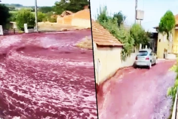 போர்த்துக்கலில் உருவான மர்மமான வைன் நதி