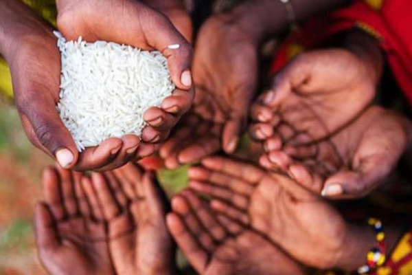 உணவு பற்றாக்குறையால் 9,971 குடும்பங்கள் பாதிப்பு: ரூபவதி கேதீஸ்வரன் கருத்து | Families Shortage Rupavathy Ketheeswaran Comment