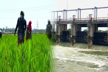 இரணைமடுக் குளத்தின் கீழான சிறுபோக செய்கையால் பாதிக்கப்பட்ட விவசாயிகள் : முன்னெடுக்கப்பட்ட விசாரணைகள்