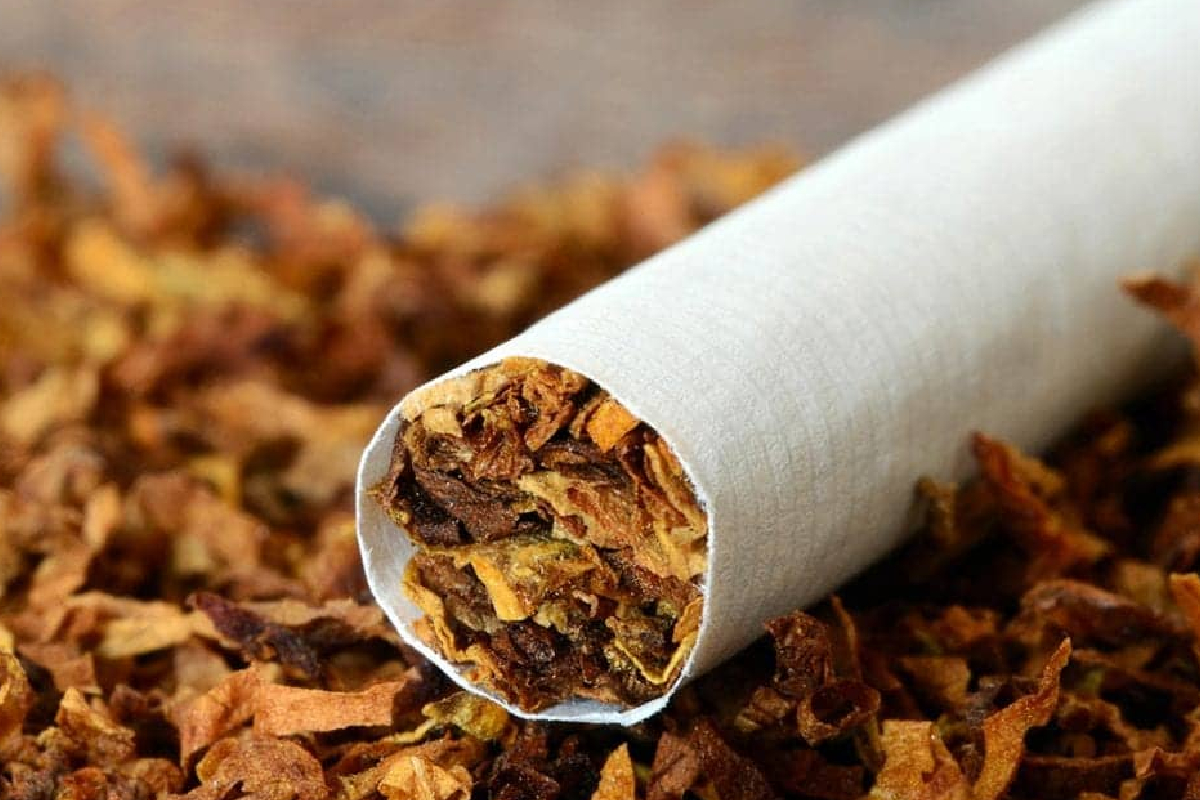 இலங்கையில் சிகரெட் உற்பத்தியில் ஏற்பட்ட அதிரடி மாற்றம் | Change In Cigarette Production In Sri Lanka இலங்கையில் சிகரெட் உற்பத்தியில் ஏற்பட்ட அதிரடி மாற்றம் | Change In Cigarette Production In Sri Lanka