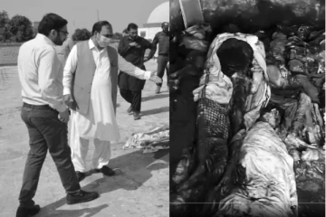 அழுகிய நிலையில் 500 சடலங்கள்: பல்கலைக்கழக மொட்டைமாடியில் திகிலூட்டிய காட்சி., தொடங்கிய விசாரணை