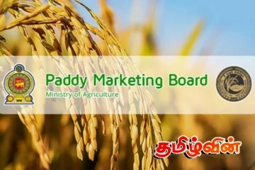 நெல் கையிருப்பை வெளியிட்டதால் ஏற்படப்போகும் பாதிப்பு: தேசிய விவசாயிகள் சங்கம் எச்சரிக்கை