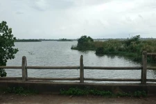 வாவியில் நீராடிக் கொண்டிருந்த குடும்பஸ்தர் ஒருவர் மாயம்