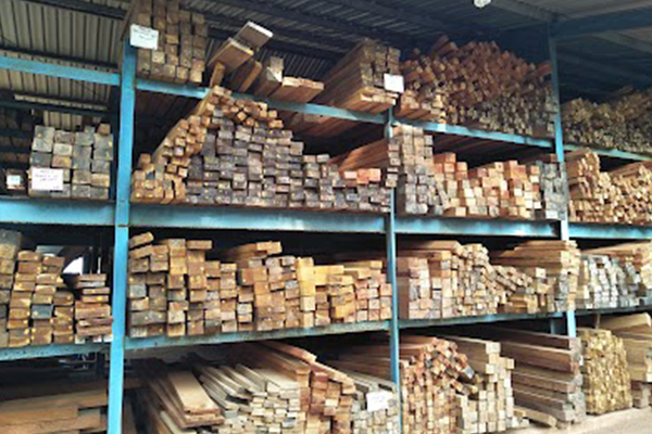 அரசாங்க மரக் கூட்டுத்தாபனத்திற்கு 1.5 பில்லியன் ரூபா இலாபம் | 1 5 Billion Rupees Profit State Timber Corporation
