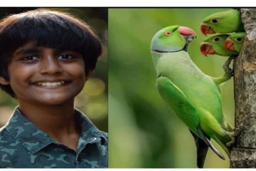 ලෝකයම පුදුම කළ ශ්රී ලංකාවේ අවුරුදු 11 දරුවා...කැමරාවෙන් කරපු වැඩේ මෙන්න.(ඡායාරූප සහිතයි).
