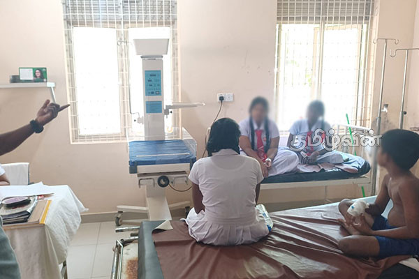 முல்லைத்தீவில் குளவிக்கொட்டிற்கு இலக்கான ஆறு பாடசாலை மாணவர்கள் மருத்தவமனையில்..! | Six School Children In Hospital Mullaitivu